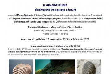 Inaugurazione: venerdì 6 dicembre alle 16:00
