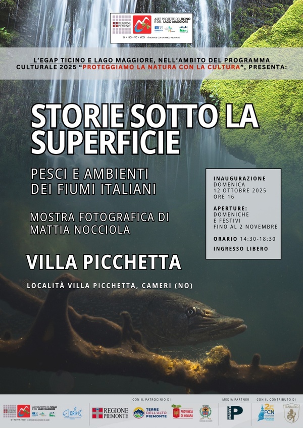 locandina mostra espositivo